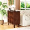 2 Drawer Modern Sofa Side Table, Narrow Side Table, Slim Nightstand for Living Room, Bedroom(Expect Arrival Date 2025/4/16)