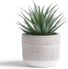 Farmhouse Artificial Plant | 8" Fake Plant for Desk Decor | Artificial Succulent in Pot | Fake Succulent | Faux Plant Indoor | Artificial Greenery for