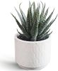 Artificial Succulent in Ceramic Pot, 6.7'' High Potted Fake Aloe Succulent Plant for Home Office Desk Bathroom Boho Shelf Decor