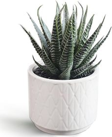 Artificial Succulent in Ceramic Pot, 6.7'' High Potted Fake Aloe Succulent Plant for Home Office Desk Bathroom Boho Shelf Decor