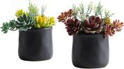 Artificial Succulents in Ceramic Pots 2 Pcs Large Fake Plants Matte Black Decor, for Desk, Bedroom, Living Room, Bathroom, Office, Bookshelf