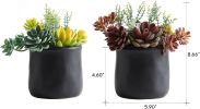 Artificial Succulents in Ceramic Pots 2 Pcs Large Fake Plants Matte Black Decor, for Desk, Bedroom, Living Room, Bathroom, Office, Bookshelf
