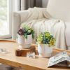 Artificial Succulent Plants, Faux Assorted Succulents Fake Plants in White Ceramic Pots for Home Decor, Bedroom, Office, Desk, Living Room, Set of 2