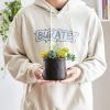 Artificial Succulents in Ceramic Pots 2 Pcs Large Fake Plants Matte Black Decor, for Desk, Bedroom, Living Room, Bathroom, Office, Bookshelf