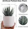 Artificial Succulent in Ceramic Pot, 6.7'' High Potted Fake Aloe Succulent Plant for Home Office Desk Bathroom Boho Shelf Decor
