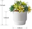 Artificial Succulent Plants, Faux Assorted Succulents Fake Plants in White Ceramic Pots for Home Decor, Bedroom, Office, Desk, Living Room, Set of 2