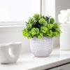 Artificial Plants in Ceramic Planter Cute Lysimachia Fake Succulent Flowers Potted for Home Office Table Desk Decor Living Room Bathroom Bedroom Shelv