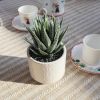 Artificial Succulent in Ceramic Pot, 6.7'' High Potted Fake Aloe Succulent Plant for Home Office Desk Bathroom Boho Shelf Decor