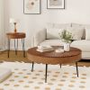 Set of 2 Boho Round Coffee Table with Solid Pine Wood Top and Metal Legs