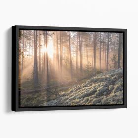 Fog In The Forest With White Moss In The Forground Floating Framed Canvas (Color: Black, size: 24" x 16" / 60cm x 40cm (approx))