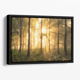 It's Nice To Love Floating Framed Canvas (Color: Black, size: 36" x 24" / 90cm x 60cm (approx))