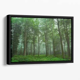 Forest View Floating Framed Canvas (Color: Black, size: 24" x 16" / 60cm x 40cm (approx))
