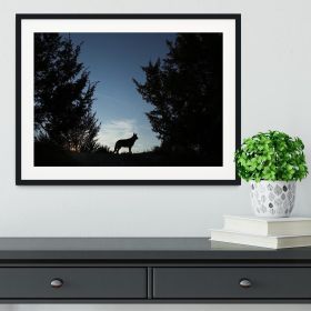 Picture of a wolf dog at dusk. Framed Print (Color: White/No White Edging, size: 36" x 24" / 90cm x 60cm (approx))