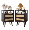 Set of 2 with 2 Drawers, 15.4" Modern Storage Bedside Table with Golden Metal Handles, Wooden End Table for Bedroom