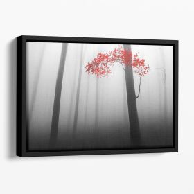 Illusion Floating Framed Canvas (Color: Black, size: 24" x 16" / 60cm x 40cm (approx))