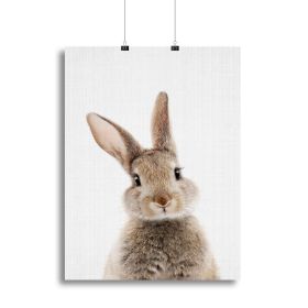 Peekaboo Bunny Canvas Print or Poster (Type: Standard Framed Canvas Print, size: 12" x 8" / 30cm x 20cm approx)