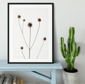 Thistle Grey 09 Framed Print (Color: Black/With White Edging, size: 12" x 8" / 30cm x 20cm (approx))